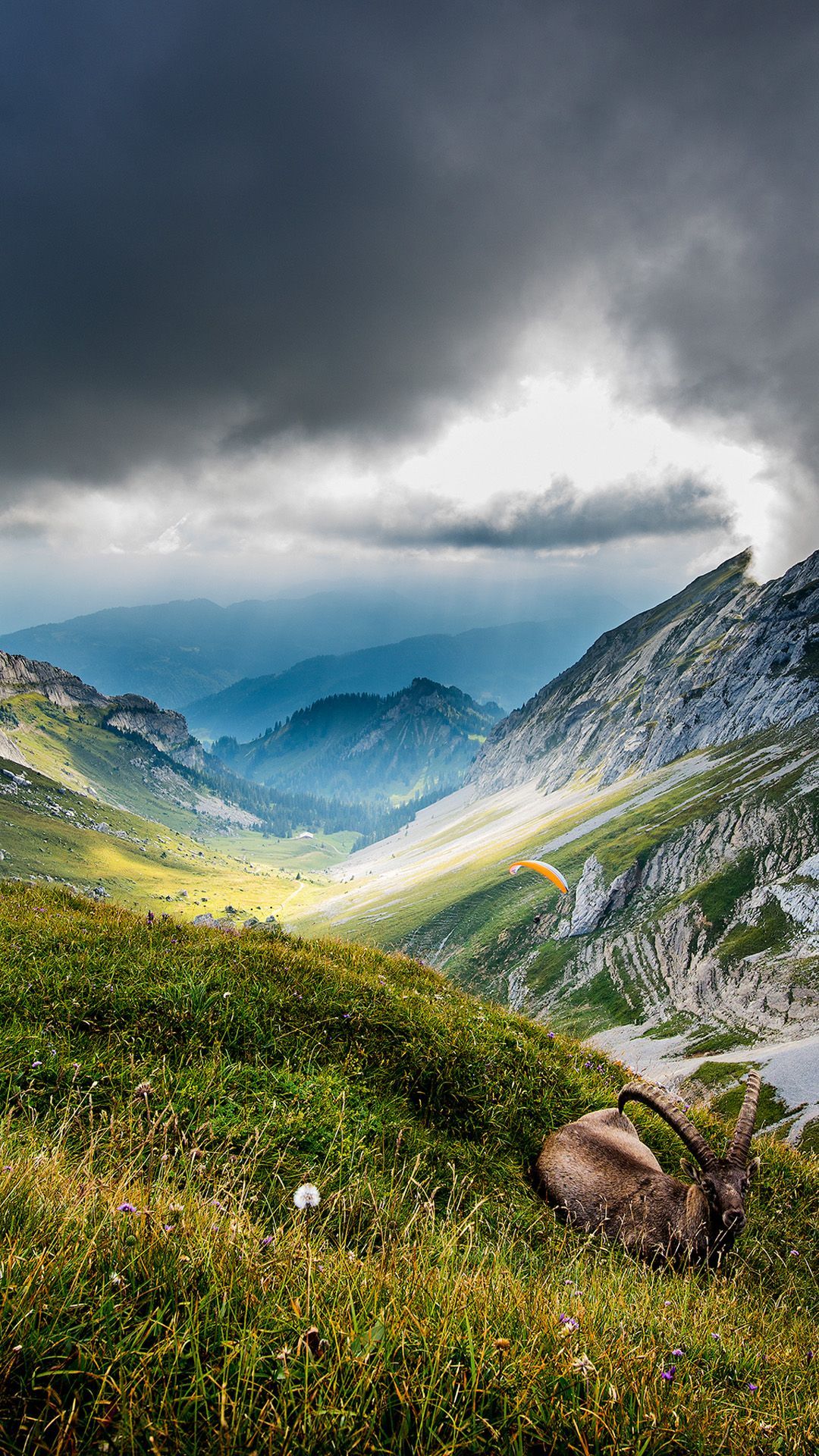 Trerumslgenhet 6 bddar